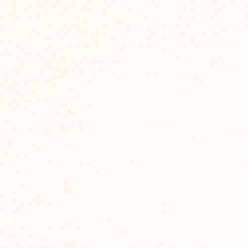Bianco Male 0029